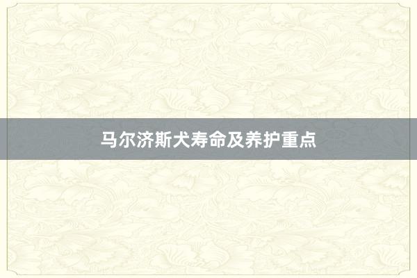 马尔济斯犬寿命及养护重点