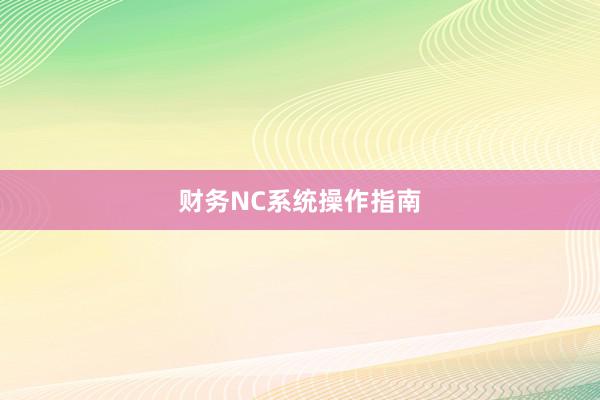 财务NC系统操作指南